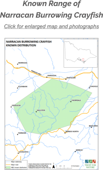 Click for enlarged map and photographs Known Range of Narracan Burrowing Crayfish