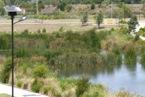 Wetland and Retardation Basin Construction