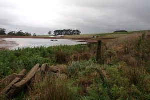 Dam Construction