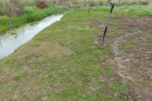 Altered Drainage Systems
