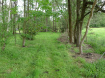 Warragul Burrowing Crayfish Habitat