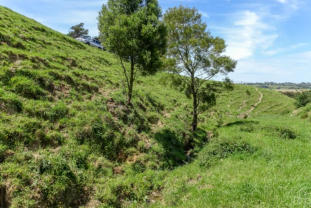 South Facing Slope - Giant Gippsland Earthworm Habitat